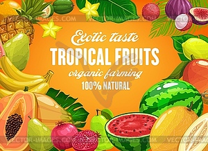 Tropical fruits farming cartoon poster - vector image