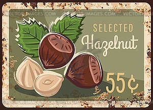 Hazelnut nuts, hazel metal rusty plate, price sign - vector image