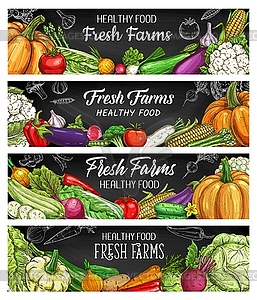 Vegetables farm food chalk sketch banners - vector image