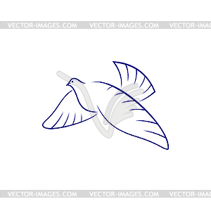 Pigeon bird holy dove - vector clipart