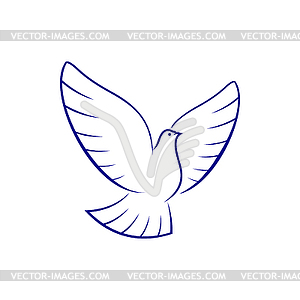 Pigeon bird holy dove - vector image