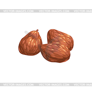 Persimmon dried fruits, dry food snack sweets - vector clipart