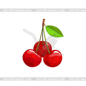 Cherry berries fruits, food of garden forest - vector clipart