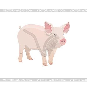 Pig, farm animal icon, piglet cattle, pork - royalty-free vector image