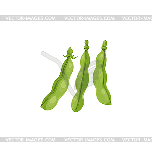 Green peas, bean pods, farm agriculture plant icon - vector clip art