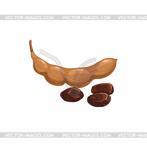 Tamarind fruit, tropical exotic fruits food icon - vector image