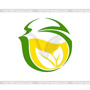 Green tea with lemon and herbal leaves - vector image