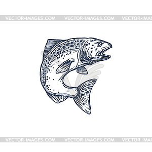 Salmon or trout grayling whitefish sketch - vector image