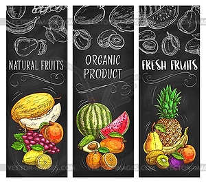 Fresh fruits sketch banners, natural food - vector image