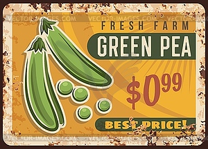 Pea green metal plate rust, vegetable beans poster - vector image