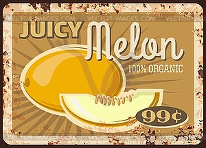 Melon fruit metal plate rusty, food market price - vector image