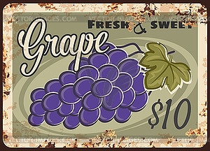 Grapes rusty metal plate, vintage rust tin sign - vector image
