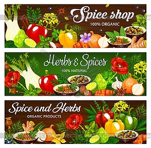 Herbs and spices, seasonings banners - vector image