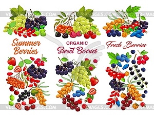 Набор мультяшных ягод сладких сочных садовых культур - векторный клипарт Royalty-Free