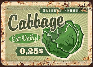 Farm green cabbage head rusty metal plate - vector clip art