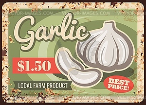 Organic garlic harvest rusty metal banner - vector clip art