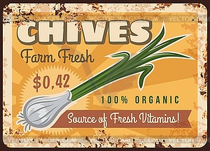 Farm fresh chives onion harvest rusty metal plate - color vector clipart