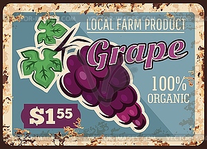 Grapes rusty metal plate, vintage rust tin sign - vector image