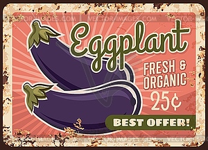 Eggplant metal plate rusty, vegetable poster retro - vector clipart