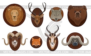Hunting trophies, wild animals heads mount - vector image