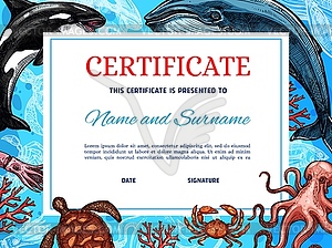 Certificate diploma award template, fishes and sea - vector image