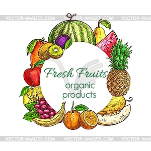 Fresh fruit and tropical berry food sketches - vector clipart