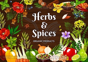 Herbs and spices cartoon poster, seasonings - vector image