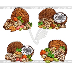 Nuts and seeds sketch natural ingredients - vector clip art