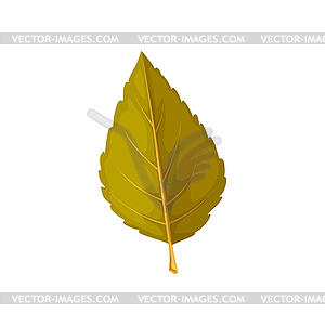 Leaf of autumn tree, elm leaf icon - vector clip art