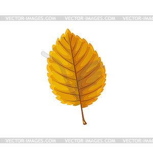 Fallen ulmus tree leaf of brown color icon - vector image