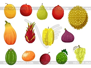 Fruits icons exotic tropical production set - vector clipart / vector image