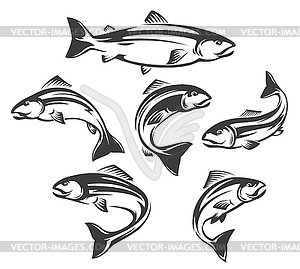 Salmon or trout fish icons, fishing sport - vector image