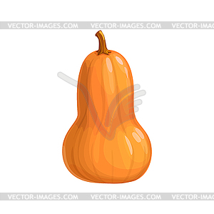 Pumpkin icon, autumn, fall Thanksgiving vegetable - vector image