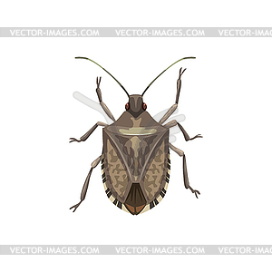 Shield bug icon, pest control insect extermination - vector clipart
