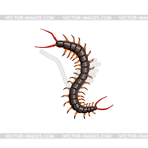 Centipede icon, pest control insects disinsection - vector clip art