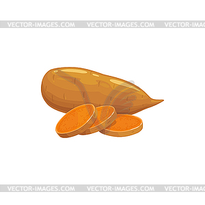 Potato tubers realistic cut sweet bulbous - vector image