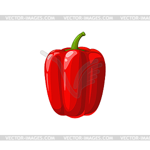 Красный болгарский перец паприка эко овощное растение - векторное изображение клипарта