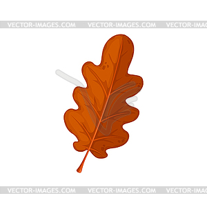 Autumn oak leaf icon - vector clipart