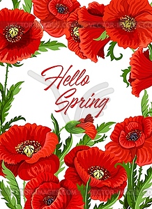 Spring season poster template with poppy flowers - vector clipart