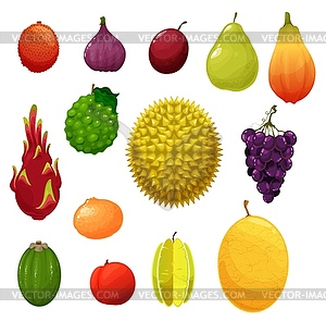 Fruits tropical exotic and farm garden flat icons - color vector clipart