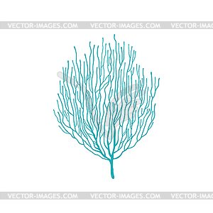 Blue bubble tip anemone soft coral icon - vector clipart