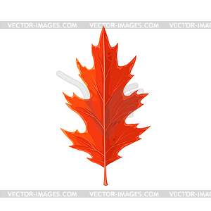 Осенний кленовый лист мультяшный значок - клипарт в формате EPS