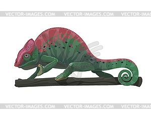 Chameleon lizard animal on tree branch, cartoon - vector clipart