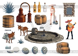 Mexican tequila alcohol drink production process - vector clipart