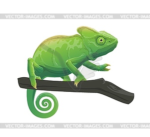 Chameleon cartoon animal on tree branch - vector clipart