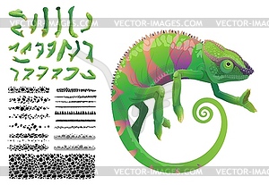Green chameleon lizard, tropical reptile animal - vector clipart