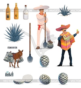 Agave tequila production, blue agava and bottles - vector EPS clipart