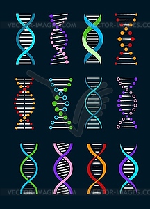 DNA helix icons, genetics, biotechnology - vector image