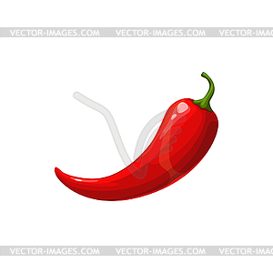 Jalapeno, red chili pepper vegetable plant - vector image