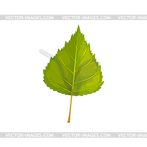 Birch leaf icon, cartoon foliage sign - vector clipart